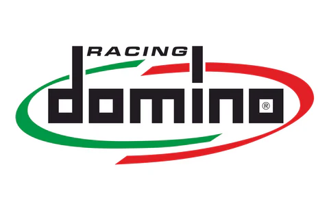 Domino Racing
